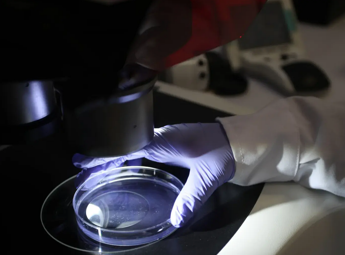 AI Creates Bacteria-Killing Viruses: ‘Extreme Caution’ Warns Genome Pioneer