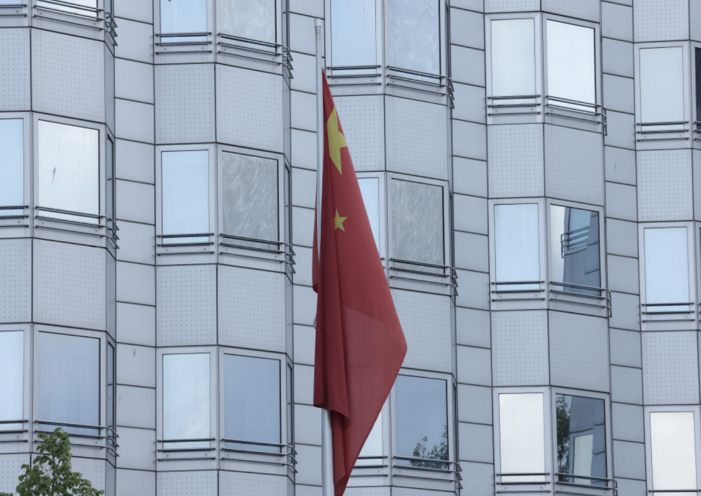 Whistleblower Alleges Anti-Aging Trade Behind Forced Pregnancies in Southeast Asia Scam Parks