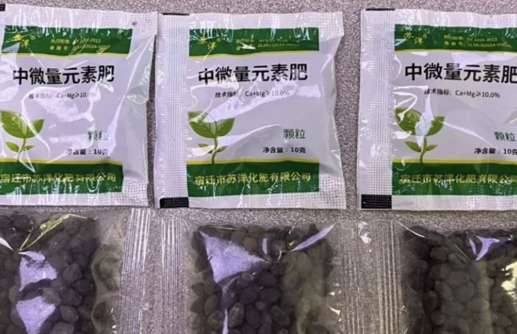 Texans Report Surge in Mystery Seeds Mailed From China