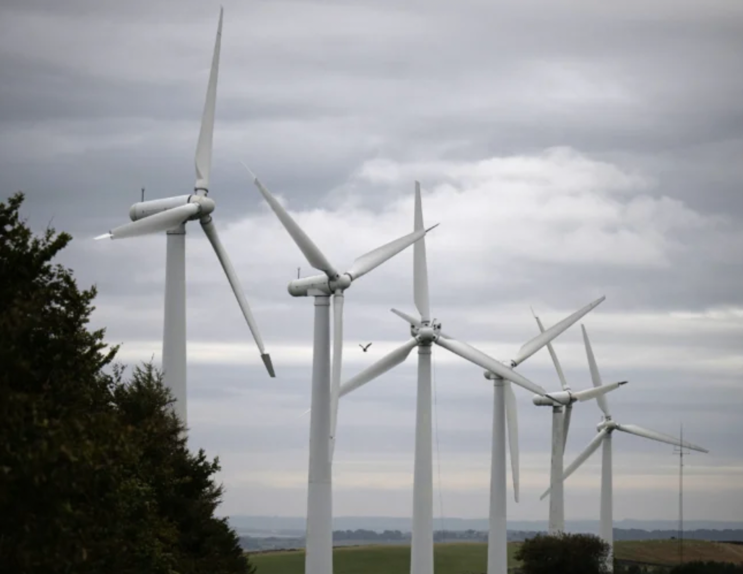 Trump Admin Pulls US Out of Green Climate Fund