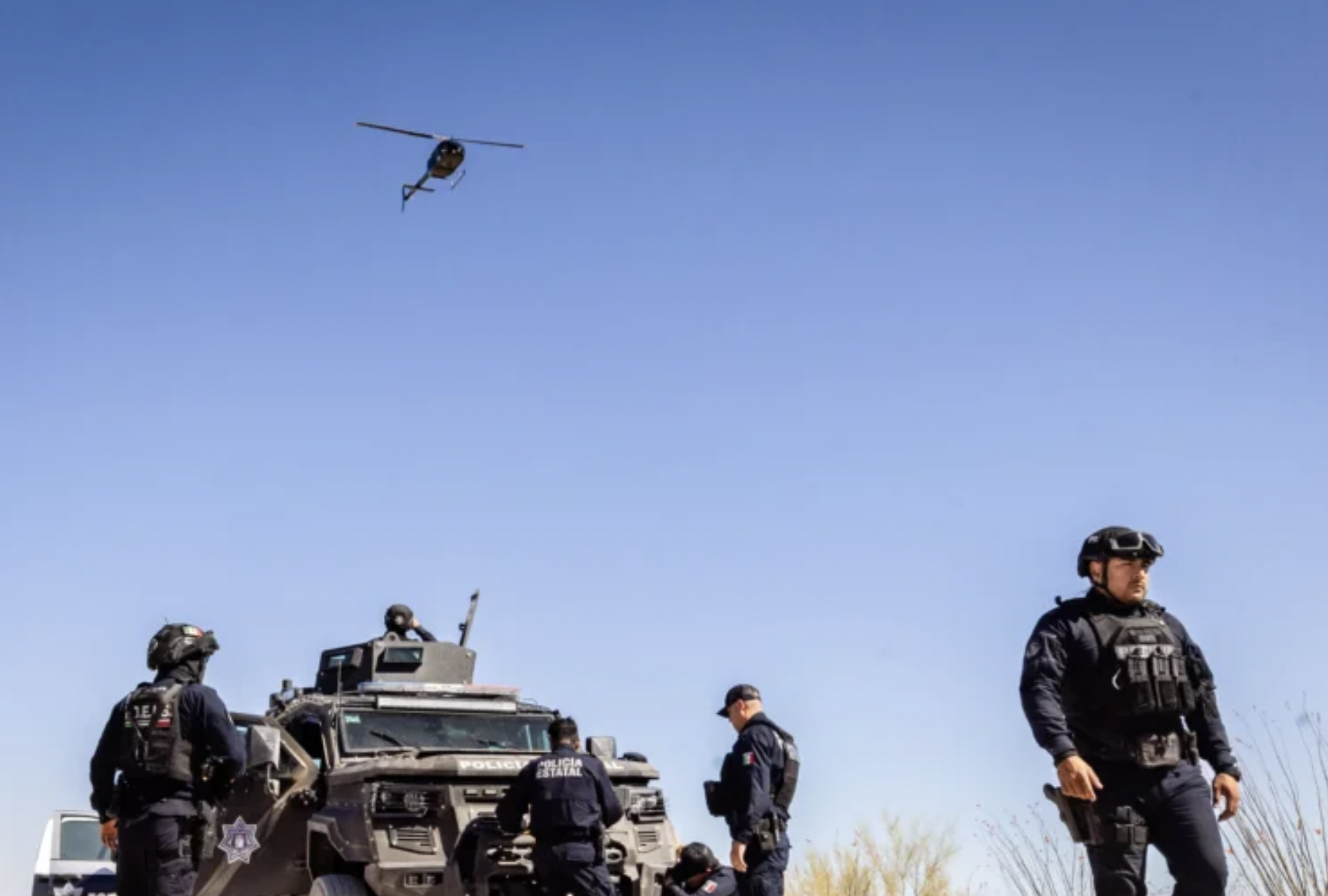 Trump Says US Will Begin Land Strikes on Cartels in Mexico