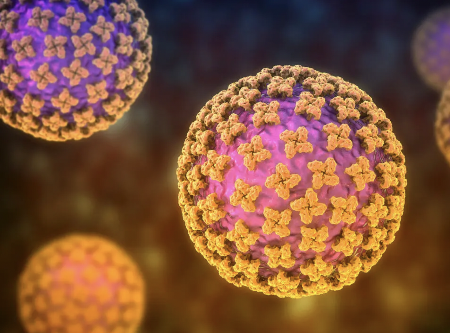 10 Canadians Connected to Hantavirus Outbreak, Chief Public Health Officer Says