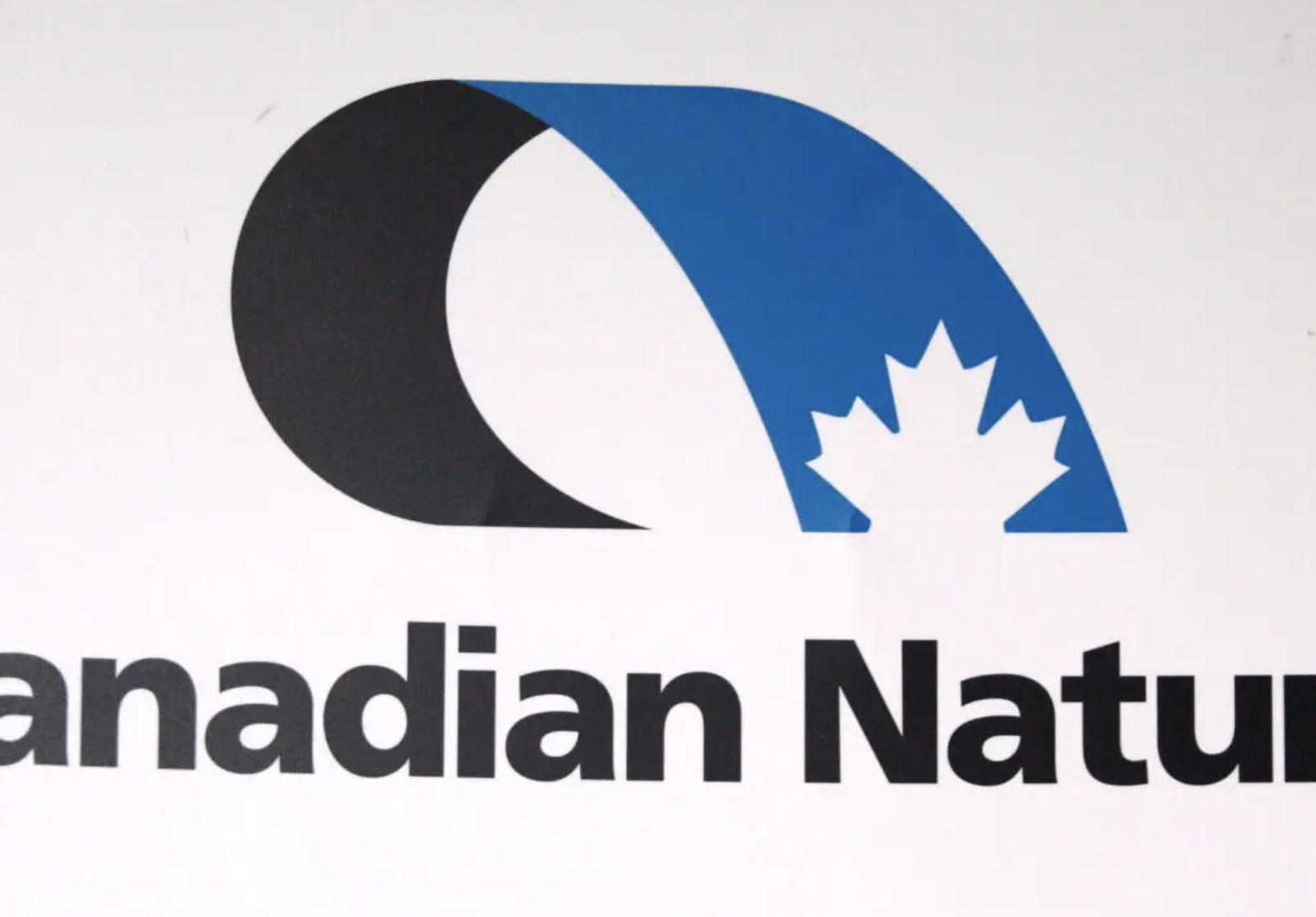 Canadian Natural Moves Ahead Steam-Driven Oilsands Projects, but Mine Remains on Ice