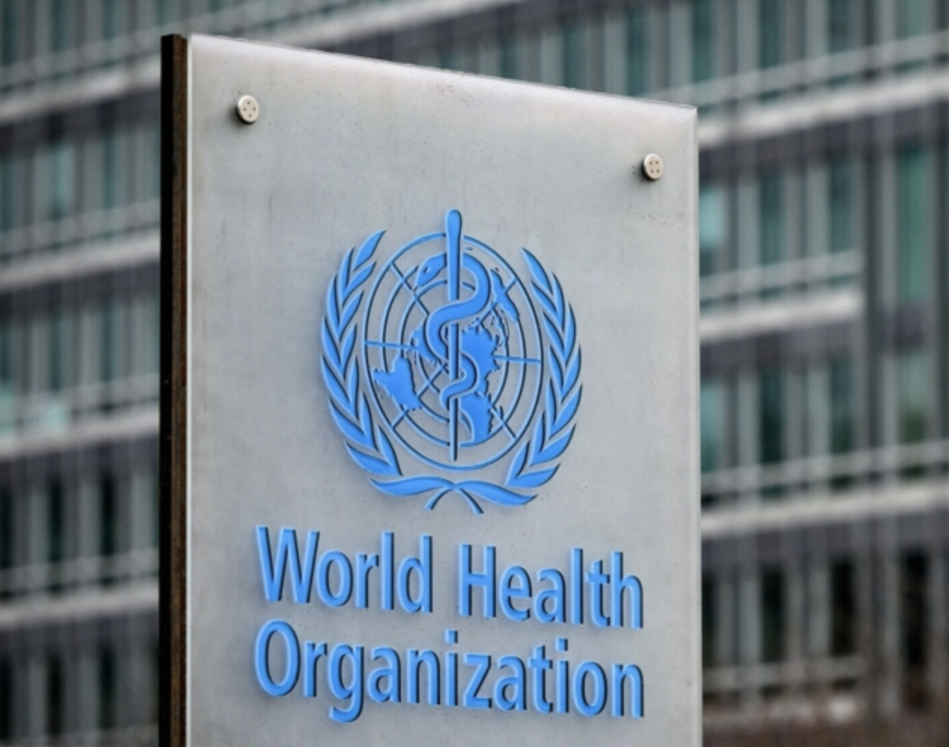 Proposed Global Digital ID Rollout Sparks Privacy Concerns