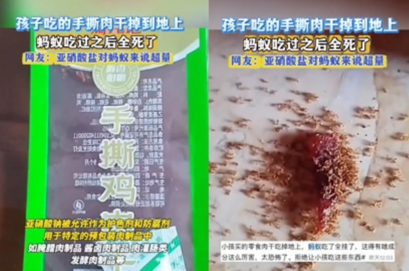 Viral Video Shows Chinese Children’s Snack Killing Ants Within Minutes