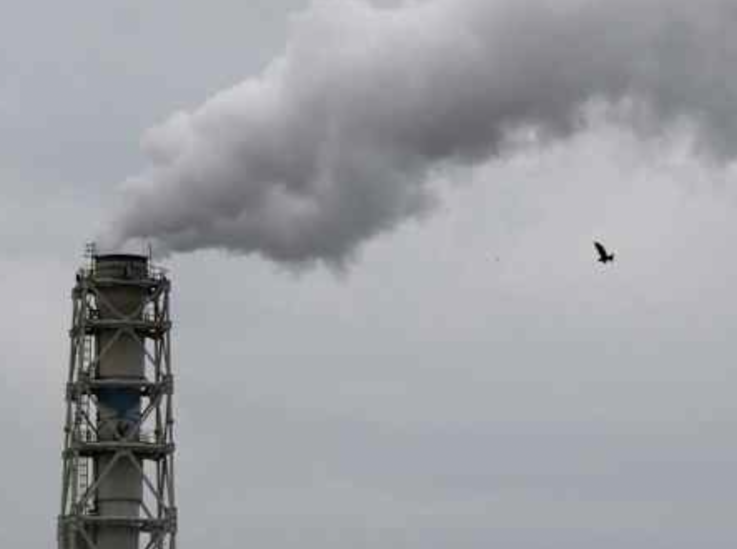 Taiwan collects carbon levies from major emitters for first time